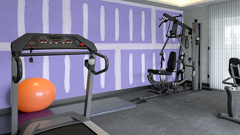 Purple abuse- and impact-resistant board on a fitness-room wall, a high-traffic surface that takes repeated contact