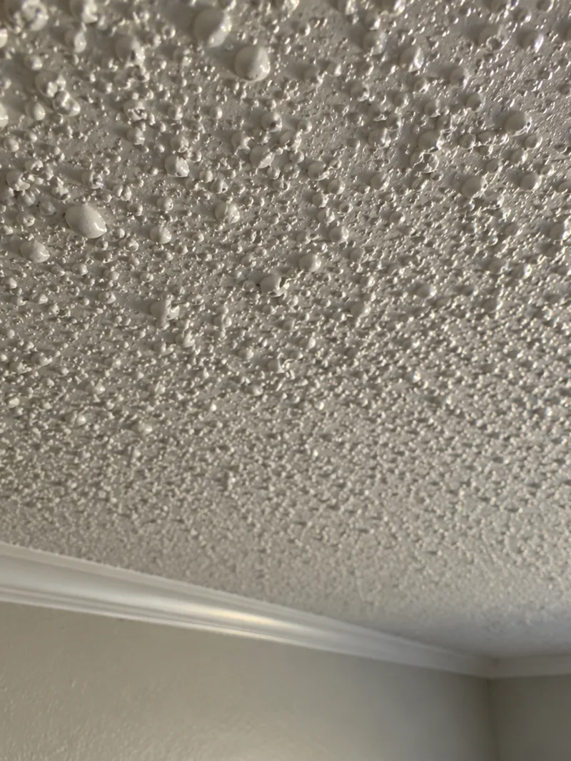 Sprayed acoustic ceiling texture lit from the side, its peaks rounded and softened under a coat of paint