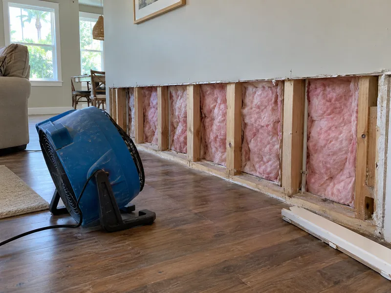 A wall cut open along its base with pale studs and bright pink batts exposed, a blue air mover aimed into the cavity