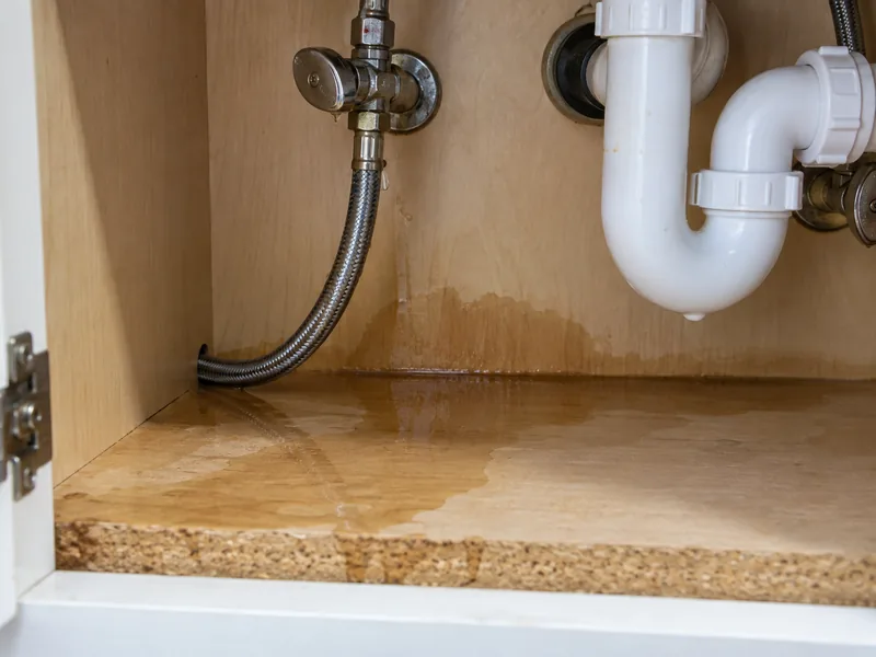 A weeping supply line and trap in the base of a cabinet, the kind of cause behind a wet wall