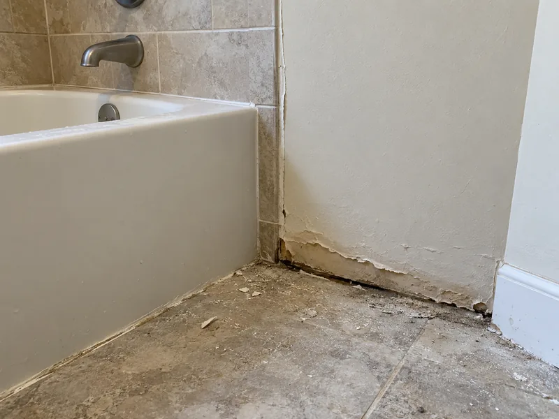 The foot of a bathroom wall beside a tub where the board has swollen and its paper face lifted, the sealant line open